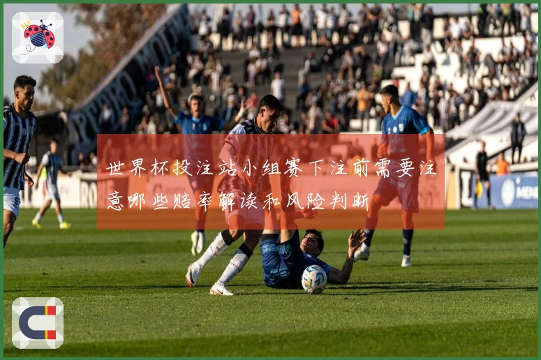 世界杯投注站小组赛下注前需要注意哪些赔率解读和风险判断